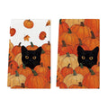 Sm:)e Black Cat Pumpkin Halloween Fall Dish Towels Set of 2, Soft & Absorbent Washcloth 18x26 Inch