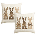 Sm:)e Bunny Rabbit Easter Throw Pillow Covers Set of 2, 18x18 Inch Seasonal Outdoor Cushion Case for Sofa Couch